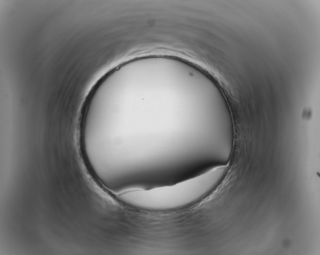 X0000100231518200806131325