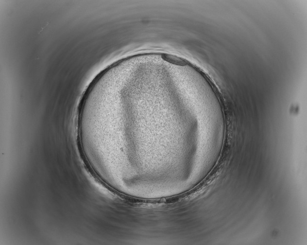 X0000100231519200806131325