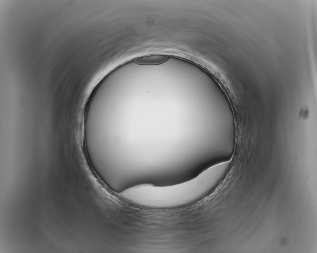 X0000100231520200806131325