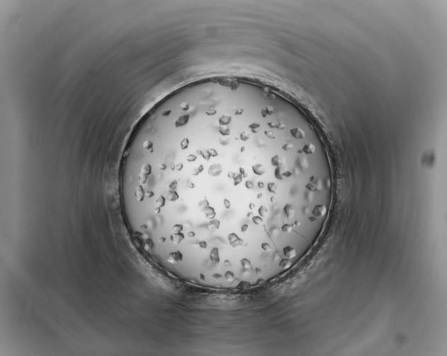 X0000100231521200806131325