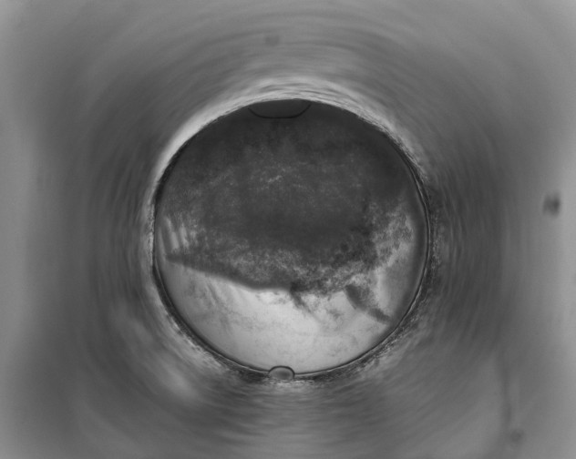 X0000100231522200806131325