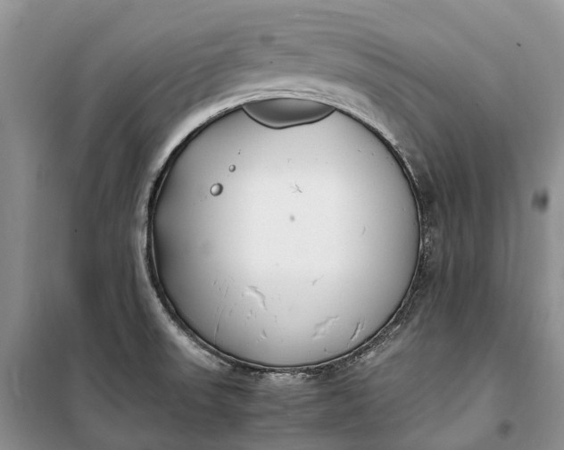 X0000100231523200806131325