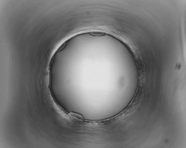 X0000100231524200806131325