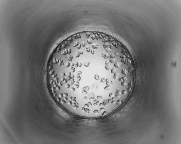 X0000100231525200806131325