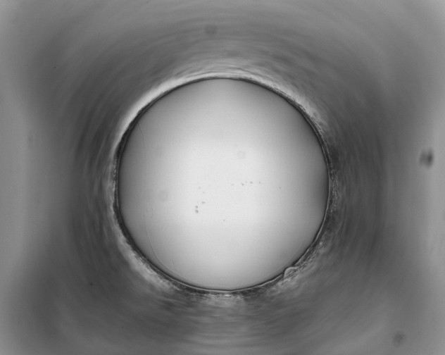 X0000100231526200806131325