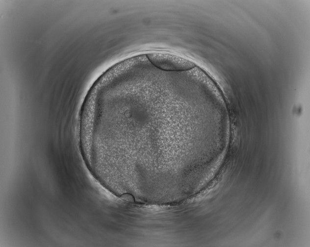 X0000100231527200806131325