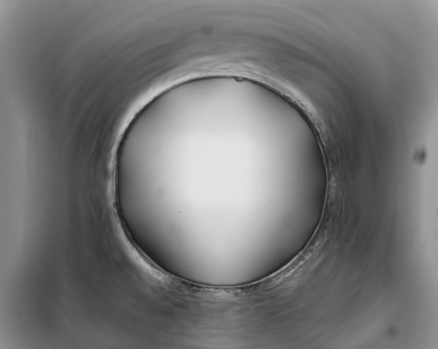 X0000100231528200806131325