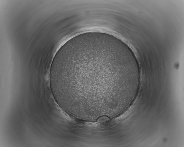 X0000100231529200806131325