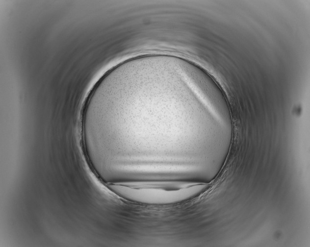 X0000100231531200806131325