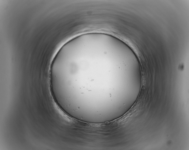 X0000100231532200806131325