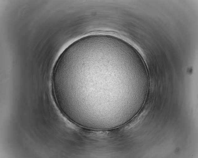 X0000100231533200806131325