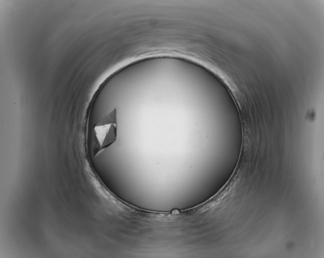 X0000100231534200806131325