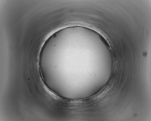 X0000100231535200806131325