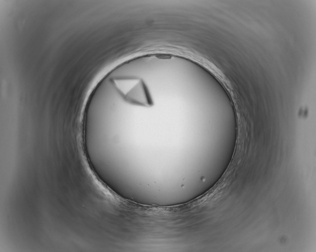 X0000100231536200806131325