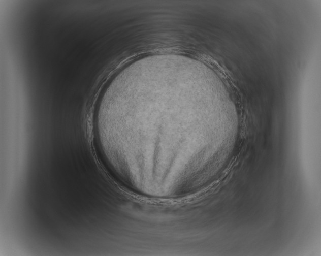 X0000100230002200806201453