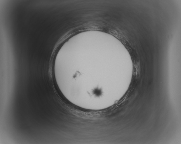 X0000100230004200806201453