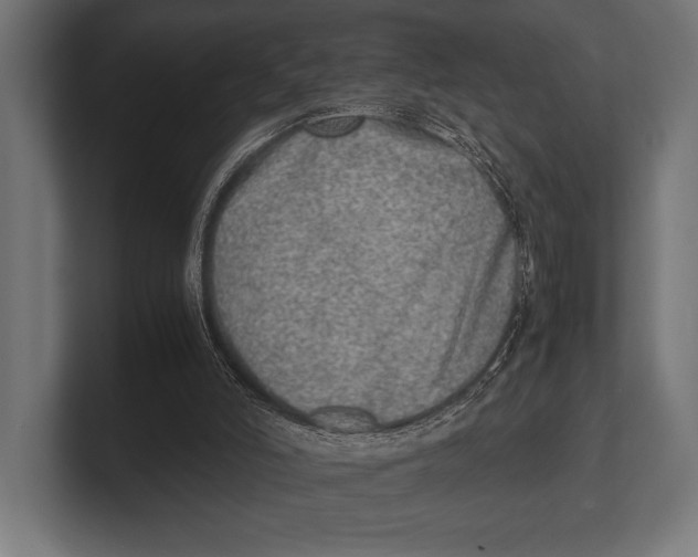 X0000100230006200806201453
