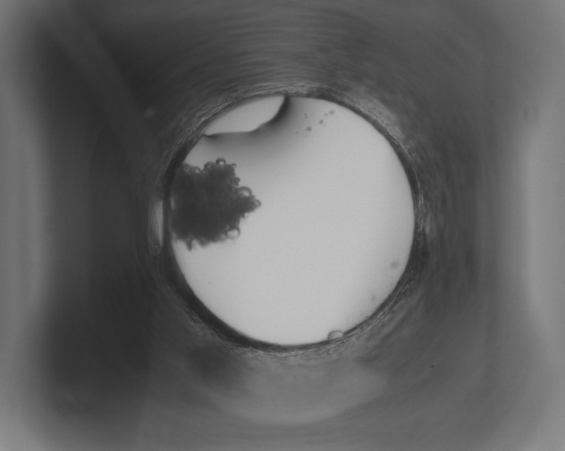 X0000100230013200806201453