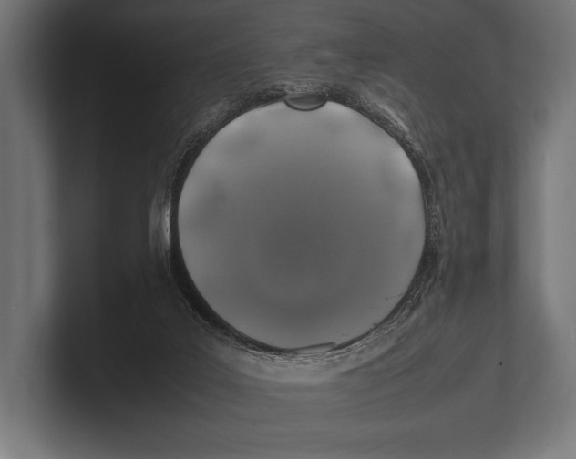 X0000100230019200806201453
