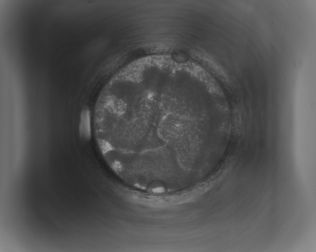 X0000100230022200806201453