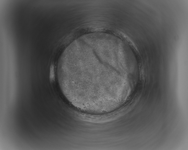 X0000100230026200806201453