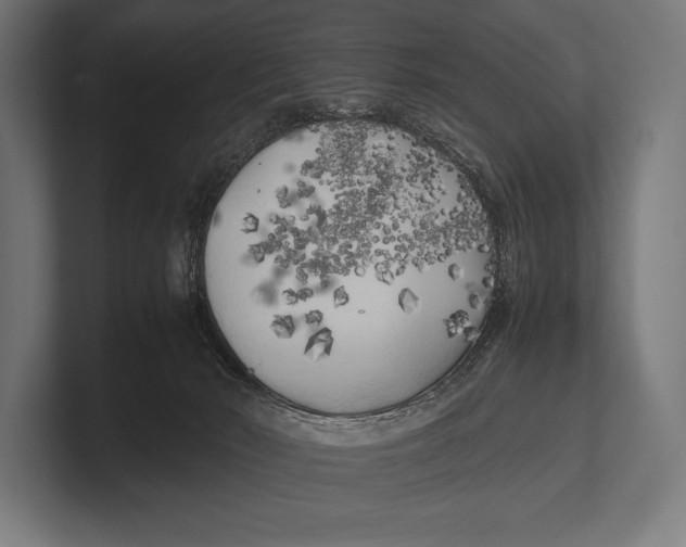 X0000100230030200806201453