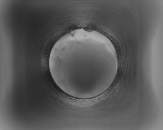 X0000100230031200806201453