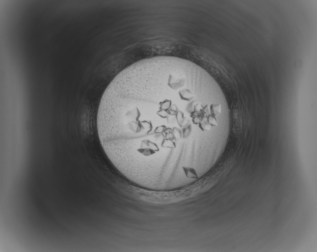 X0000100230034200806201453