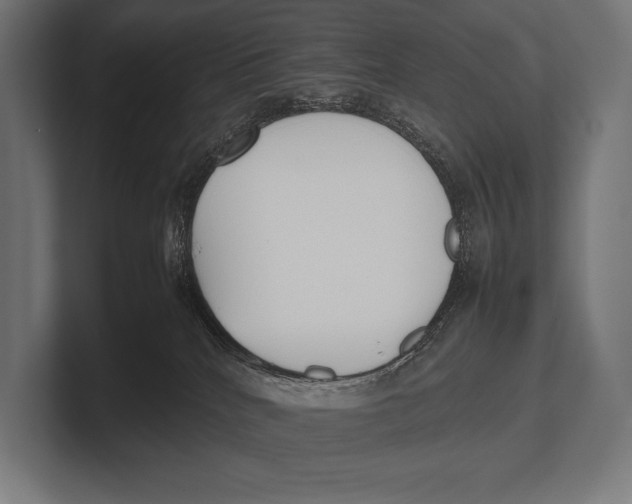 X0000100230040200806201453