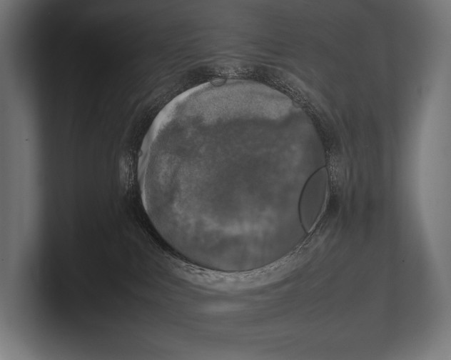 X0000100230043200806201453