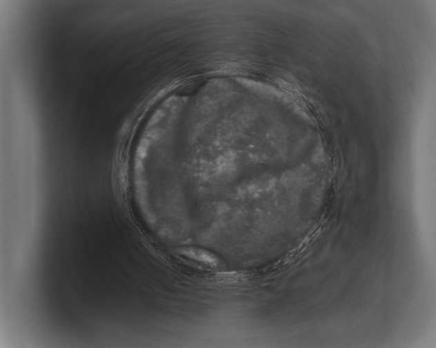 X0000100230050200806201452