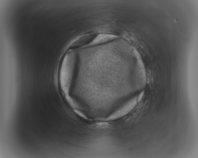 X0000100230052200806201452