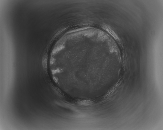 X0000100230058200806201452
