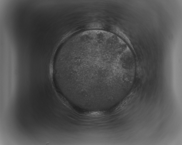 X0000100230059200806201452