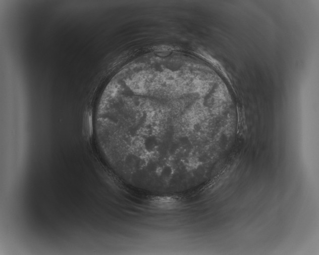X0000100230061200806201452
