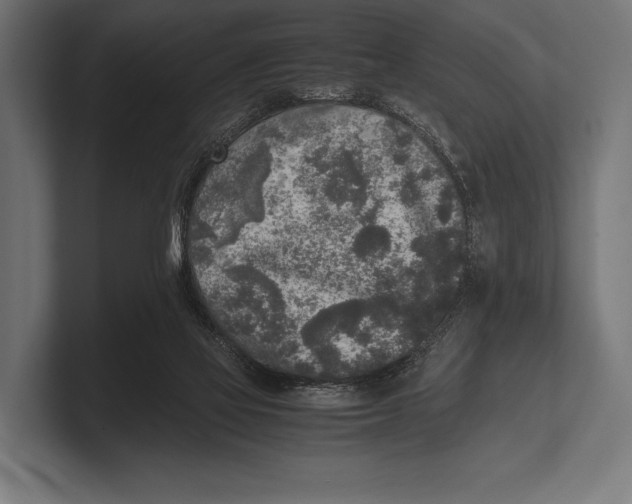 X0000100230069200806201452
