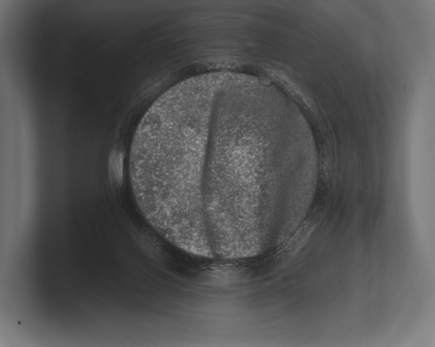 X0000100230070200806201452