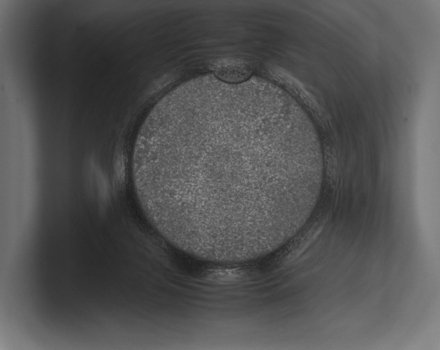 X0000100230071200806201452