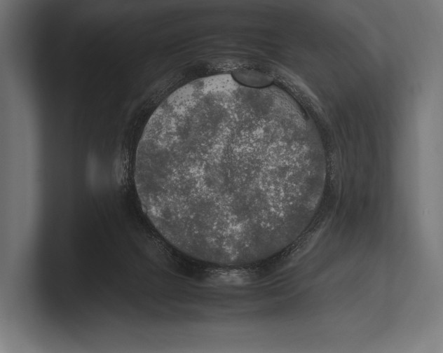 X0000100230073200806201452