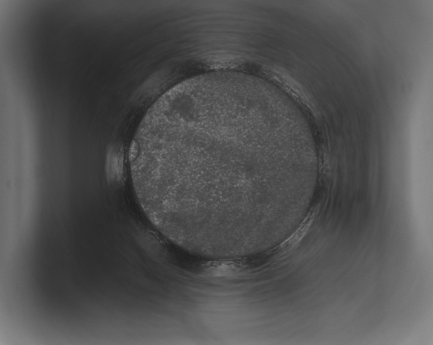 X0000100230074200806201452