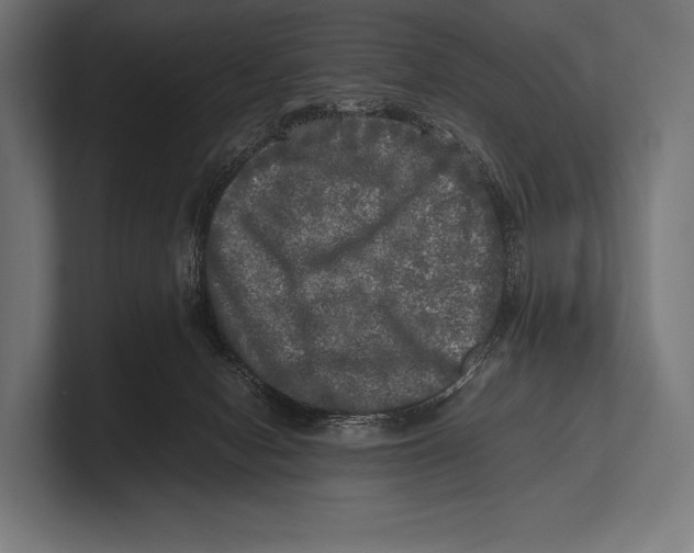 X0000100230078200806201452