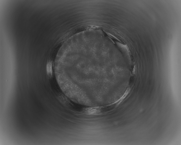 X0000100230094200806201453