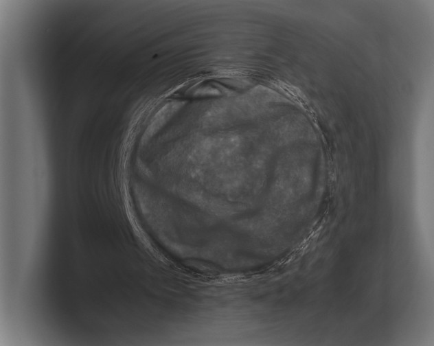 X0000100230097200806201452