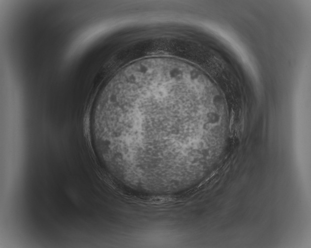 X0000100230099200806201452