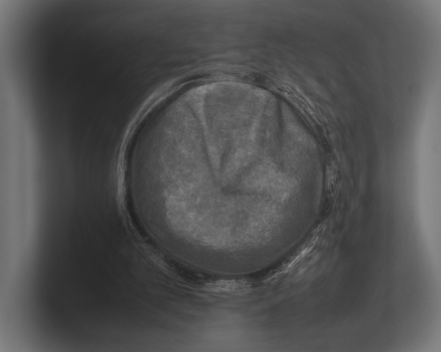 X0000100230101200806201452
