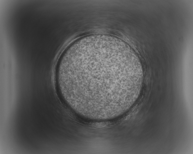X0000100230103200806201452