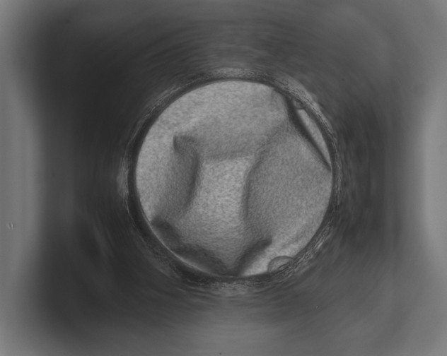 X0000100230106200806201452