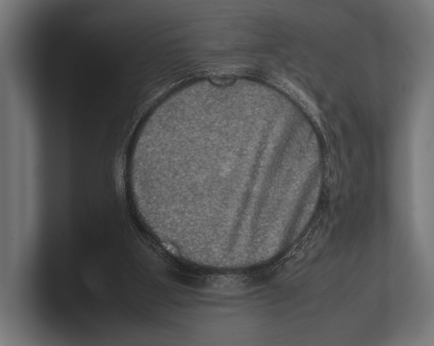 X0000100230107200806201452
