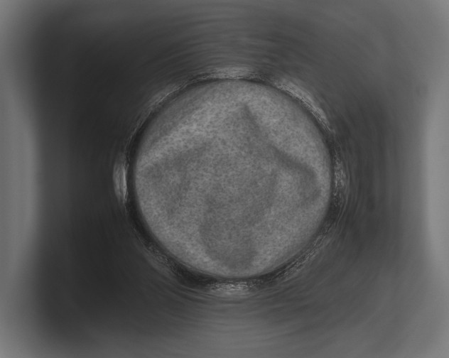 X0000100230110200806201452