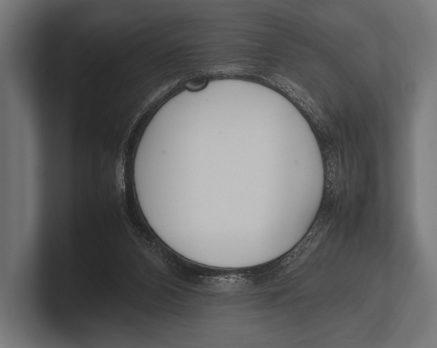 X0000100230112200806201452